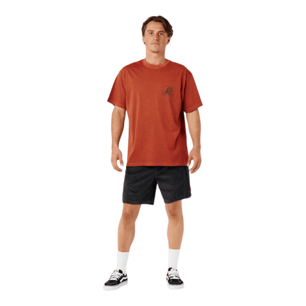 Rip Curl AOTS Rolling Wave Tee 0ZFMTE - Ronald King